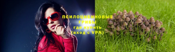 не бодяженный Абинск